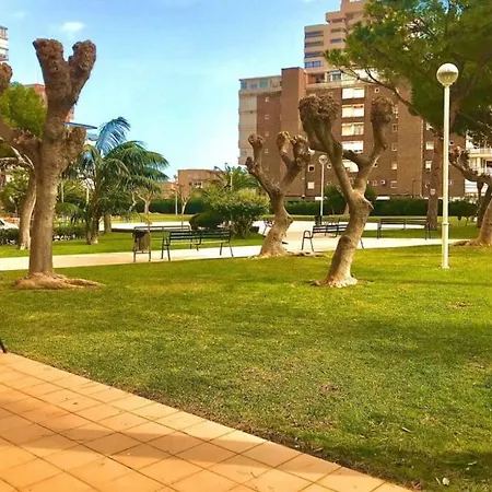 Leo Piso 20 4 Pax Inmobiliaria Leo Playa De San Juan