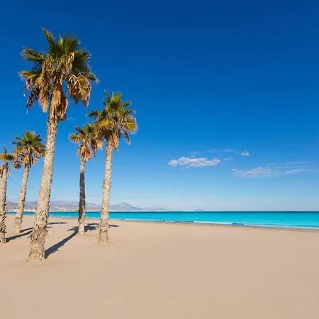 Leo Piso 20 4 Pax Inmobiliaria Leo Playa De San Juan * Alicante